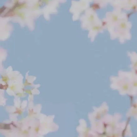 4月誕生花桜の背景